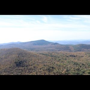 Meet your Posher, Bell